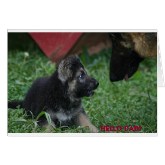 Salut DAD (Devant horizontal)