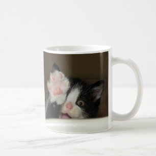 "Salut !" tasse de chaton