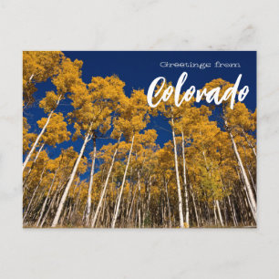 Salutations de carte postale de Colorado Aspen Tre