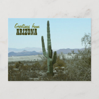 Salutations de carte postale de voyage de cactus d