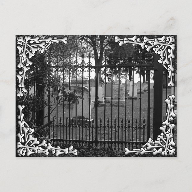 Salutations de cimetière ! - Carte postale #2 (Devant)