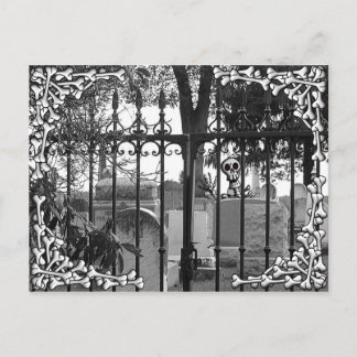 Salutations de cimetière ! - Carte postale #4