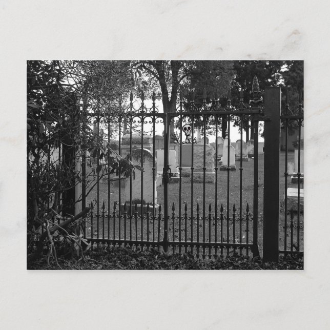 Salutations de cimetière ! - Carte postale n° 1 (Devant)