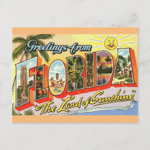 Salutations de Florida Travel Carte Postale