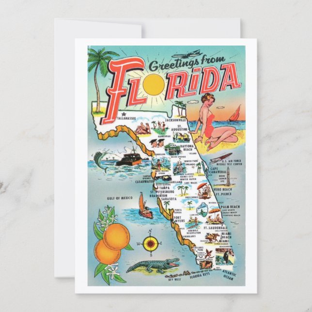 Salutations de Floride 5x7 Grande Carte Postale (Devant)