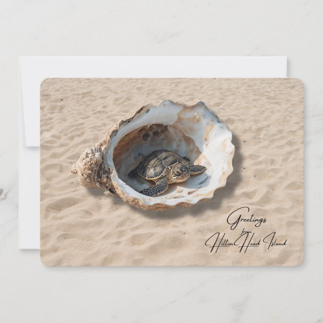 Salutations de la carte de la tortue de mer de l'î (Devant)