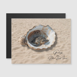 Salutations de la carte de la tortue de mer de l'î