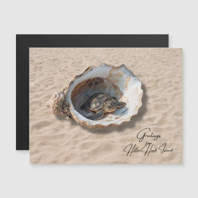 Salutations de la carte de la tortue de mer de l'î (Devant / Derrière)