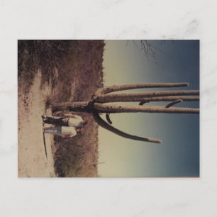 Salutations de la carte postale Arizona! ! !