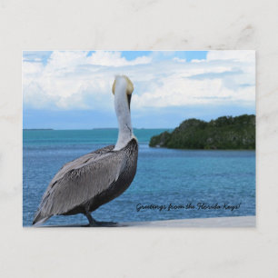 Salutations de la carte postale Florida Keys