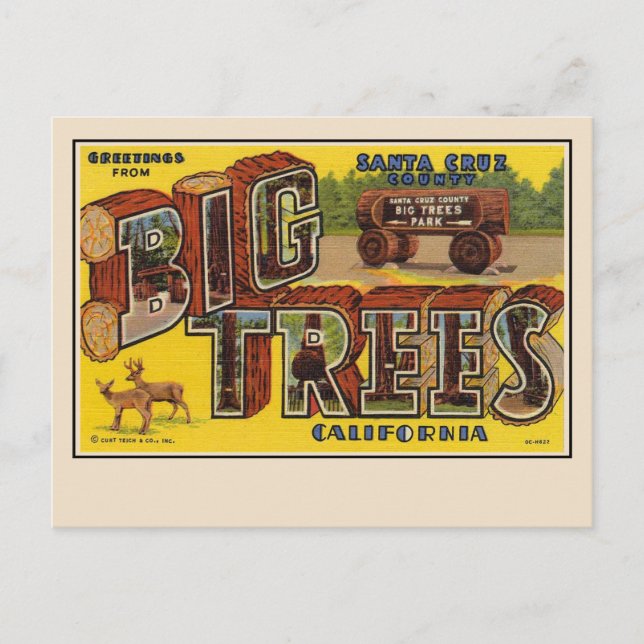 Salutations de la carte postale grand format de Sa (Devant)