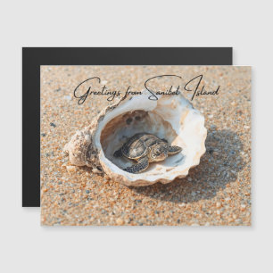 Salutations de la Tortue marine de l'île de Sanibe