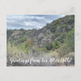 Salutations de Los Altos Hills ! Carte postale