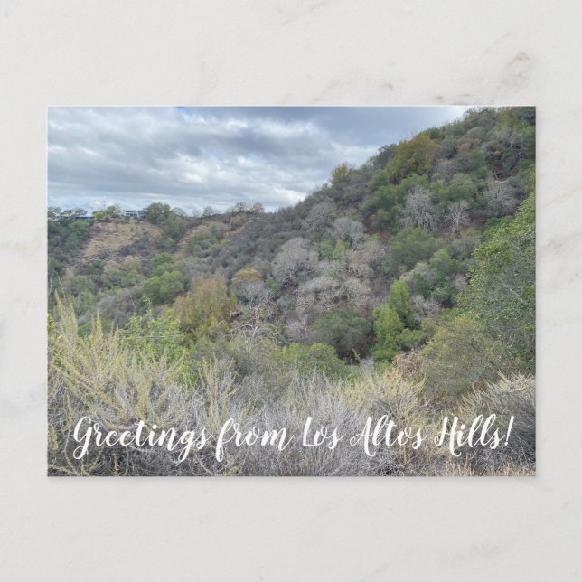 Salutations de Los Altos Hills ! Carte postale (Devant)