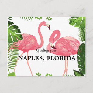 Salutations de Naples, Floride Carte postale