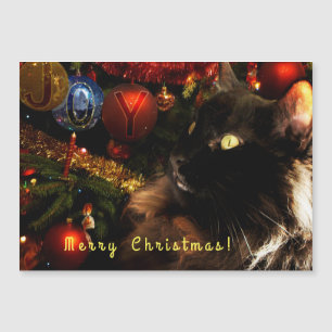Salutations de Noël Kitty