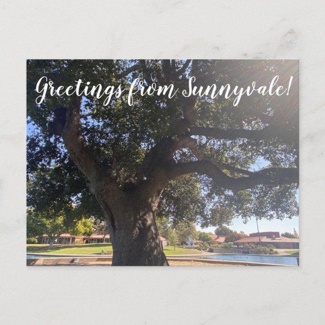 Salutations de Sunnyvale ! Carte postale (Devant)