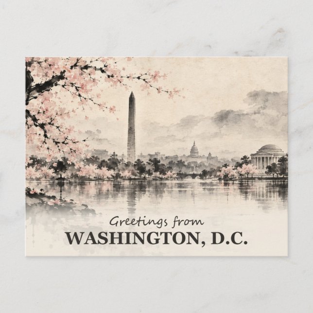 Salutations de Washington DC Carte postale au lavi (Devant)