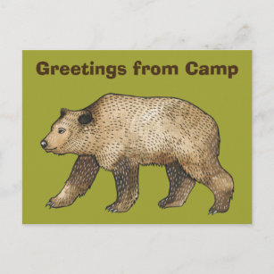 Salutations d'ours Brown de Camp Carte postale