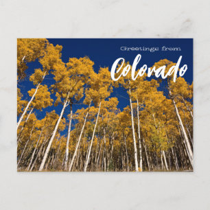 Salutations du Colorado Carte Postale Aspen Trees
