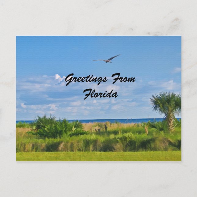 Salutations, Floride, Carte postale (Devant)