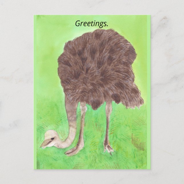 Salutations, Votre Texte, Cartes Postales Ostrich (Devant)