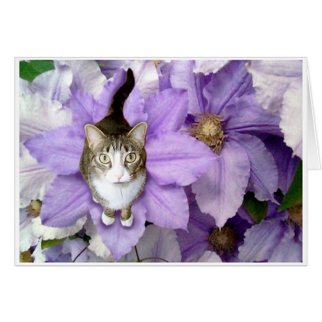 Sam doux (Devant horizontal)