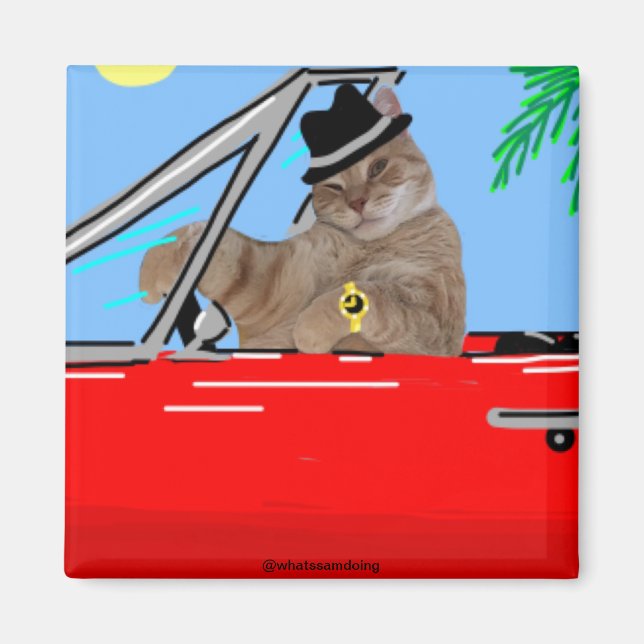 Sam Le Cat Baller Magnet de chat (Devant)