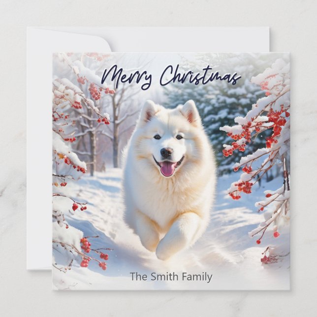 Samoyé Chien En Neige Joyeux Noël Carte (Devant)