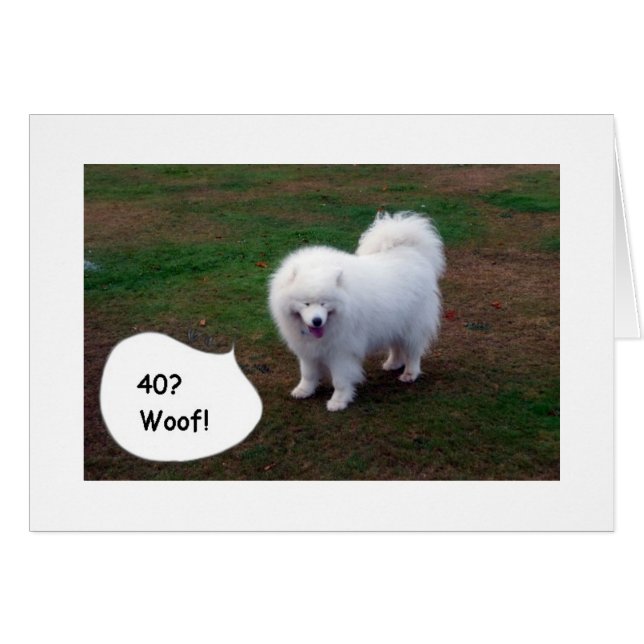 SAMOYÉ NE PEUT JUSTE PAS VOUS CROIRE40 ! WOOF ! (Devant horizontal)