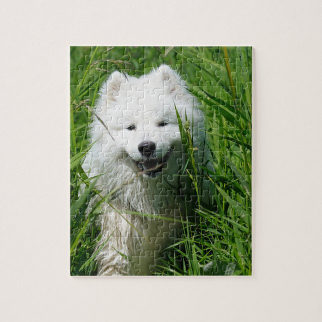 Samoyed dans le puzzle d'herbe (Vertical)