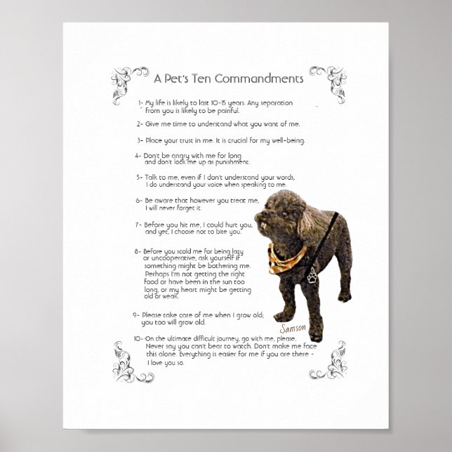 SAMSON - Poster (Devant)