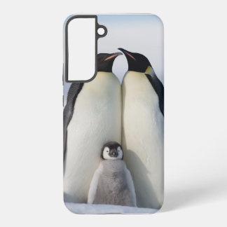Samsung Galaxy Bébé il fait froid à l'extérieur manchot coque sam