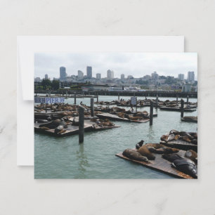 San Francisco et Otaries de Pier 39 Ciel de la Vil
