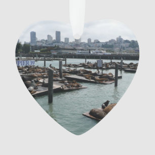 San Francisco et Pier 39 Sea Lions City Skyline