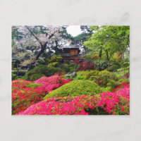 San Francisco Japanese Tea Garden #12 Carte postal