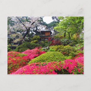 San Francisco Japanese Tea Garden #12 Carte postal
