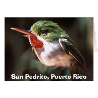 San Pedrito, San Pedrito, Porto Rico