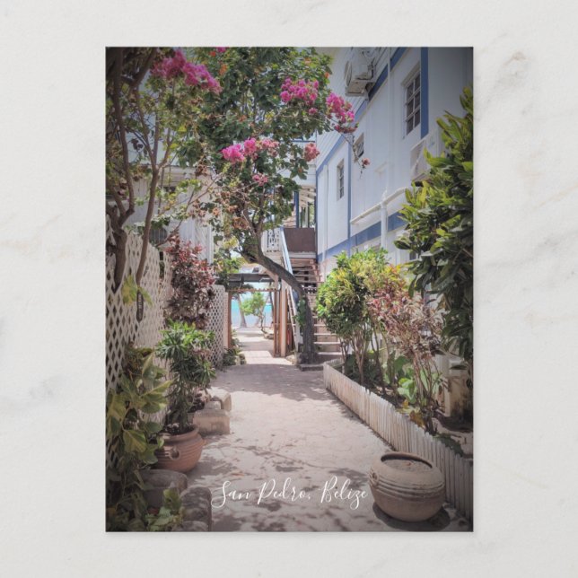 San Pedro Ambergris Caye Belize Carte postale (Devant)
