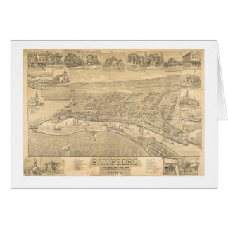 San Pedro, carte panoramique 1895 (1319A) de CA