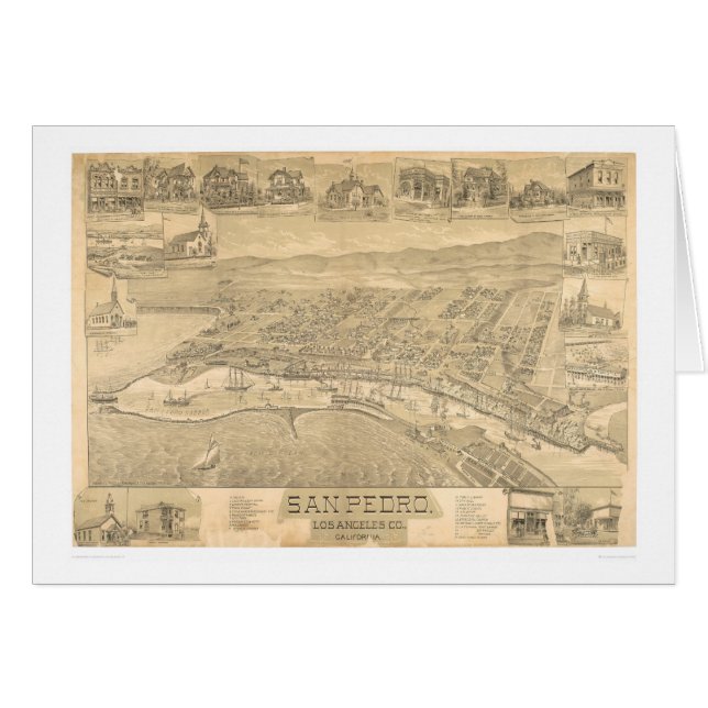 San Pedro, carte panoramique 1895 (1319A) de CA (Devant horizontal)