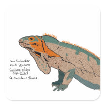 San Salvador Rock Iguana Sticker