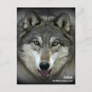 Sanctuaire de Wolf Mountain - Carte postale Istas