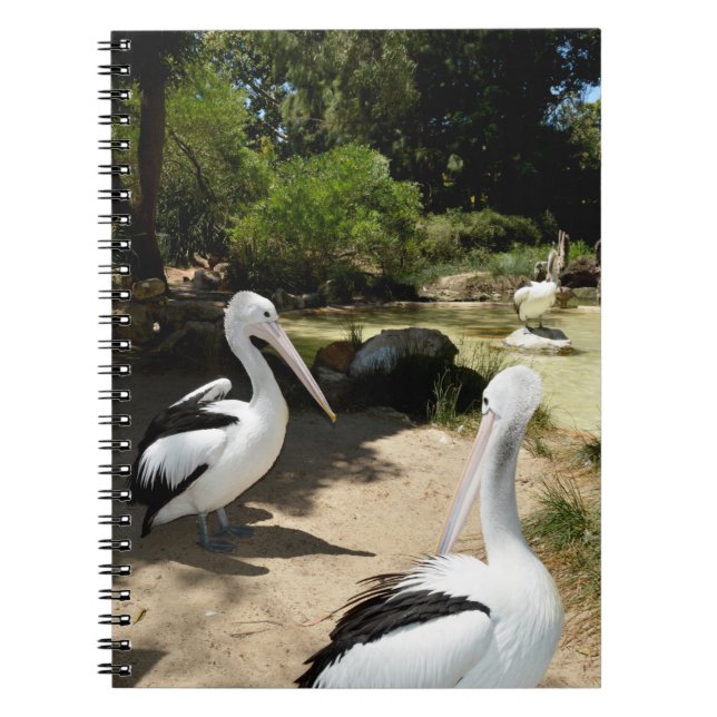 Sanctuaire pélican, Carnet (Devant)