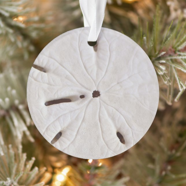 Sand Dollar Beach Côte White Round Trendy 2020 (Arbre)