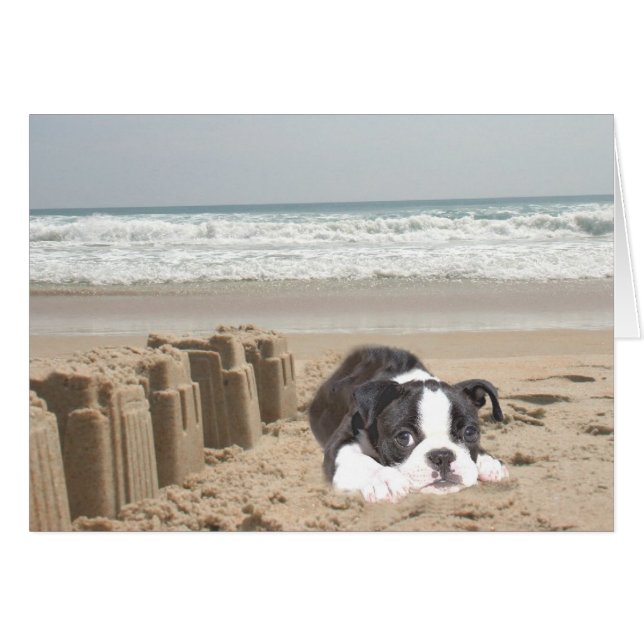Sandcastèques Boston Terrier Card (Devant horizontal)
