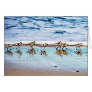 Sanders Longeant La Plage
