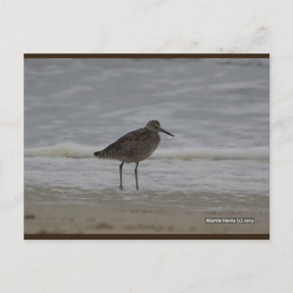Sandpiper V | Carte postale Blue Beach Song™