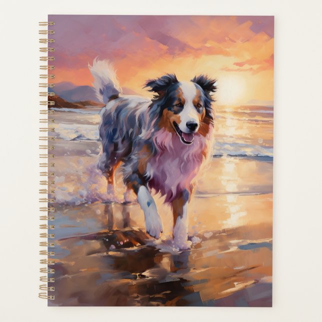 Sandy Australian Shepherd Dog on Beach Sunset (Devant)