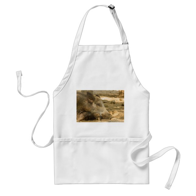 sanglier sur tablier standard (Devant)